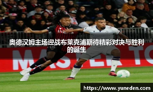 bsports官网入口